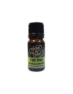 Aceite Esencial Tea Tree Eco 10 Ml de Herbes del Moli 2