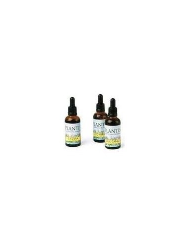 Extracto Ginkgo Plantis 50 Ml de Artesania