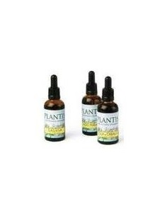 Ext.Vid Roja 50Ml Maese Herbario de Artesania 2