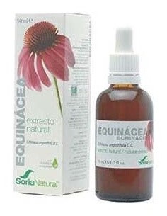 Ext Equinace Eco S/Alc Plantis de Artesania 2