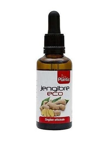 Ext. Jengibre Eco 50Ml. de Artesania