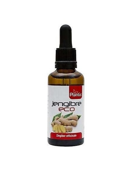 Ext. Jengibre Eco 50Ml. de Artesania