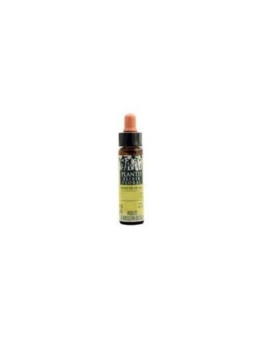 Brote Castaño-7  Eco 10 Ml de Artesania