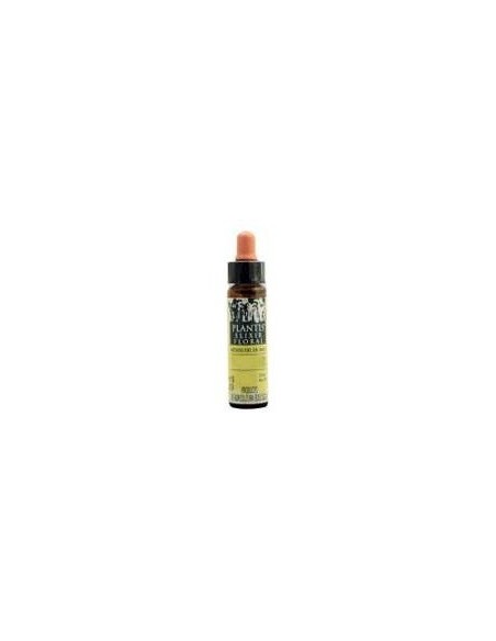 Brote Castaño-7  Eco 10 Ml de Artesania