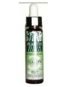 Remedio Plantis Nº 3 Examenes 10Ml. Eco de Artesania 2