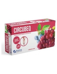 Circubeq 20Viales. de Bequisa 2