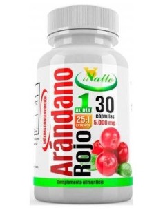 Arandano Rojo 30Cap. de El Valle 2