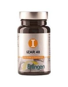 Izar 48 60Comp. de Erlingen 2