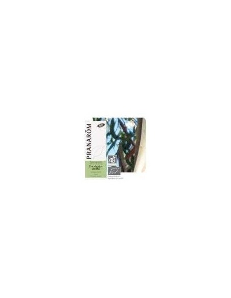 Eucalipto Smithii Aceite Esencial Bio 10Ml. de Terpenic