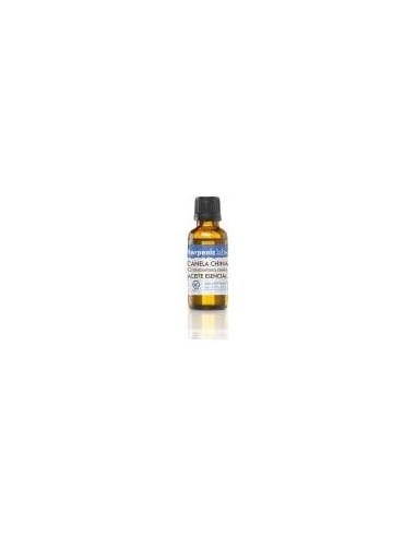 Canela Cassia Aceite Esencial 30Ml. de Terpenic