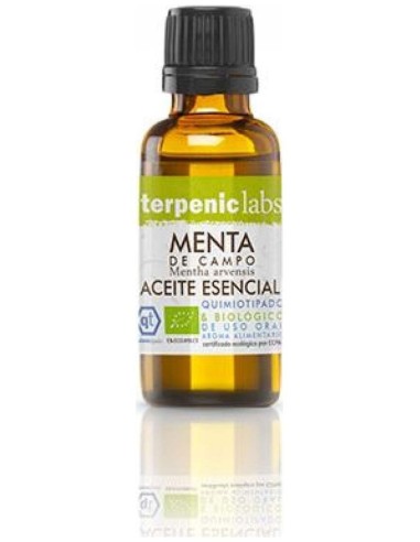 Menta Campo Aceite Esencial Bio 30Ml. de Terpenic