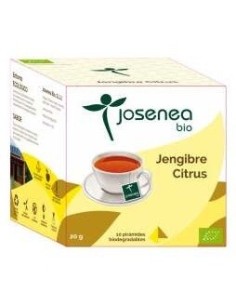 Jengibre-Citrus 10Piramides Ensobradas Bio de Josenea 2