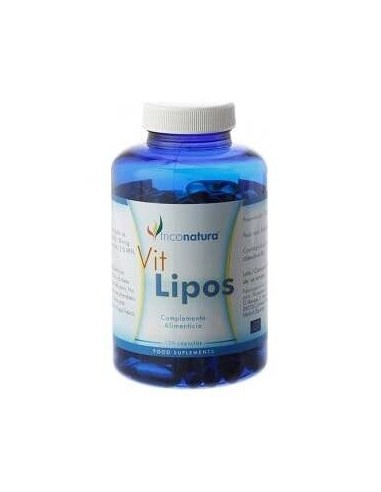 Ginkgo Biloba Infusion 25Bolsitas de Infutisa