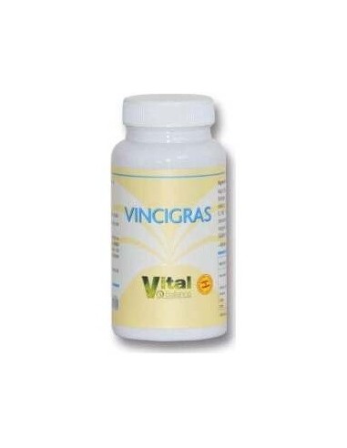 Vincigras 60Cap. de Vital Ballance