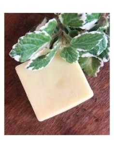 Acondicionador Solido Cabello Fino 55Gr. de Nitx 2