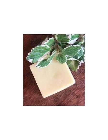 Acondicionador Solido Cabello Fino 55Gr. de Nitx