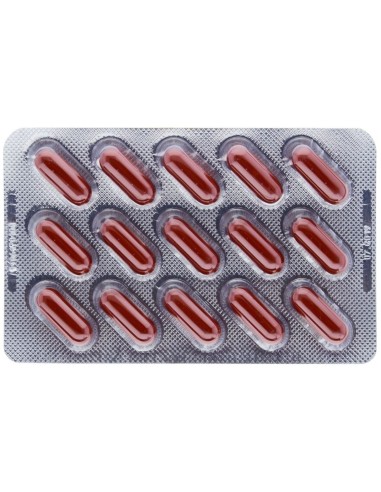 Brudy Pio 1,5 30 Cap. de Brudy