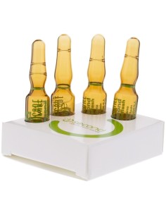 Endocare 1 Second Triple Flash 4Amp. de Endocare 2