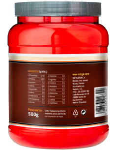 100% Whey Chocolate 500G de Sotya 2