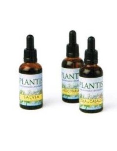 Extracto Boldo Plantis 50 Ml de Artesania