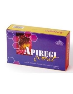 Apiregi Provit 20Amp. de Artesania