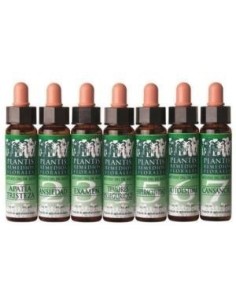 Remedio Plantis Nº 8 Descanso Nocturno 10Ml. Eco de Artesania