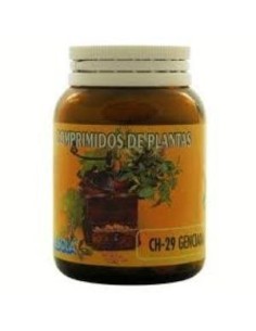 Ch29 Genciana 100Comp Bellsola