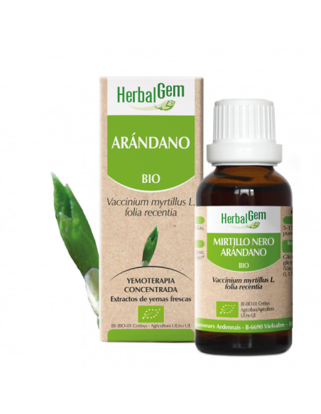 Arandano Bio 50 Ml de Herbalgem