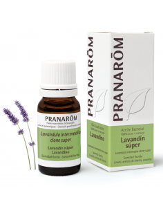 Lavandin Super Sumidad Florida 10 Ml de Pranarom