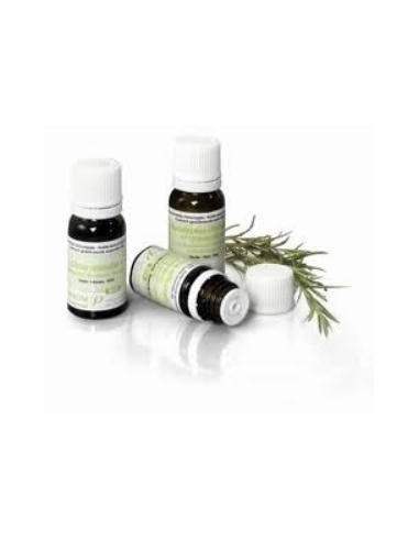 Mejorana Aceite Esencial Bio 5Ml. de Pranarom Aceites