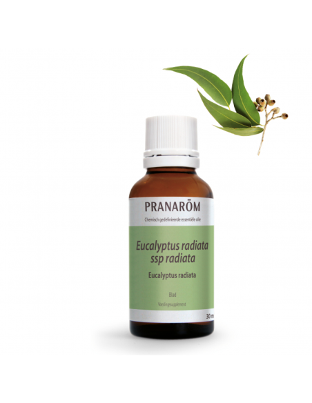 Eucalipto Radiata Hoja 30 Ml de Pranarom