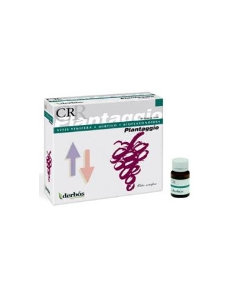 Pack de 2 uds Plantaggio Cr 20Amp. de Derbos