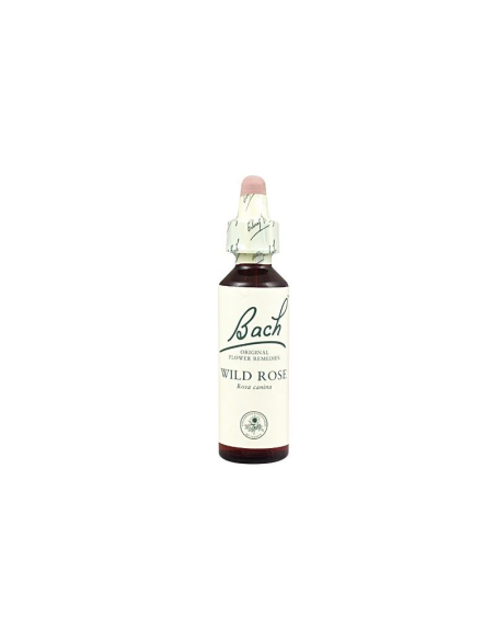 Flores Bach Wild Rose Rosa Silvestre 20Ml. de Flores Bach Or