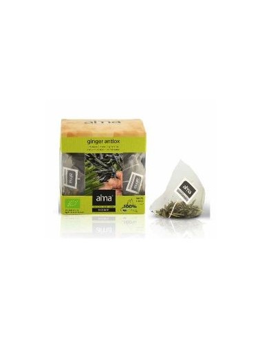 Te Verde Ginger Antiox Infusion 15Piramides.Eco de Alma Home
