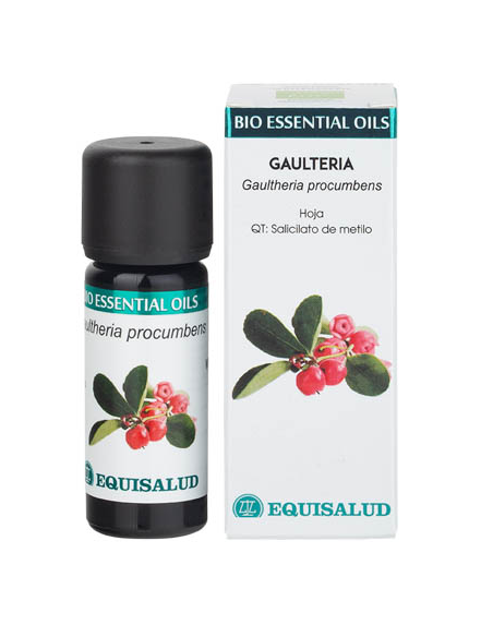 Bio Essential Oil Gaulteria - Qt:Salicilato De Metilo 10 Ml de Equisalud