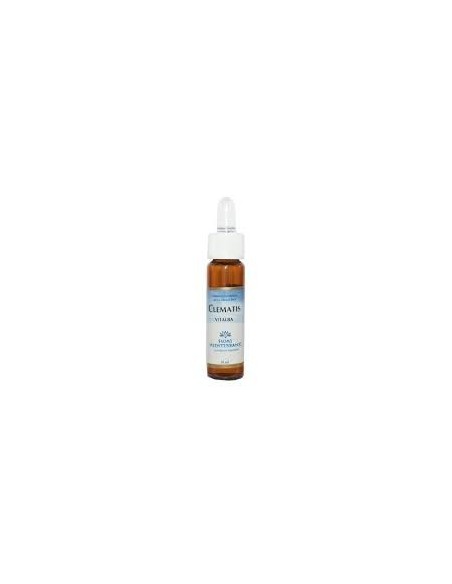 Fiori Mediterranei Clematis 10 Ml de Forza Vitale