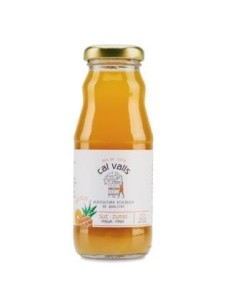 Zumo De Piña 200 Ml Eco de Cal Valls
