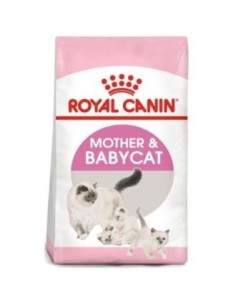Royal Feline Babycat 34 400 Gramos Royal Canin Vet