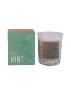 Vela Vaso Botvasm Mint Menta 7,5X9Cm 1Ud de Cerabella