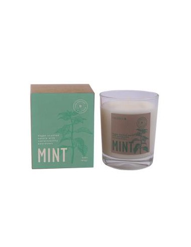 Vela Vaso Botvasm Mint Menta 7,5X9Cm 1Ud de Cerabella