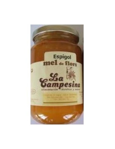 Miel de Espliego La Campesina 500g – Pura y Natural