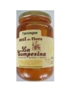 Miel de Azahar La Campesina 500g – Dulzura Natural