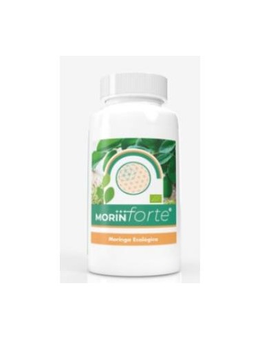 Morin Forte 120Cap. de Margan