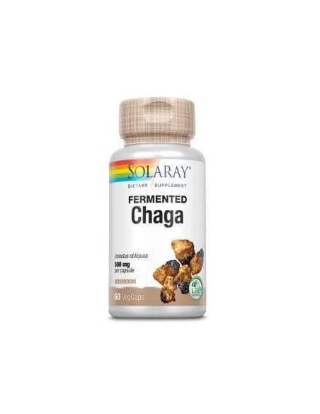 Chaga Fermented 500Mg 60Vcap.