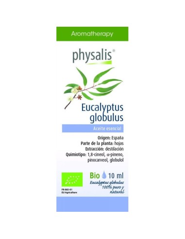 Café Sumatra Raja Gayo Bio-Ft 10 cápsulas 5g – Alternativa natural