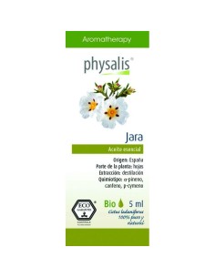 Chupis Caramelo con Palo Bio-Ft 200Uds - Dulce Natural