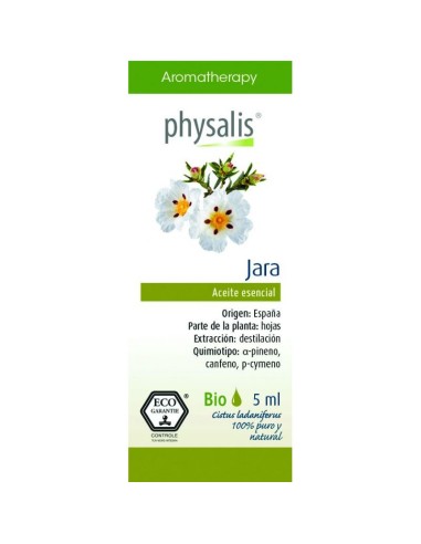 Chupis Caramelo con Palo Bio-Ft. Expositor 200Uds de Alternativa