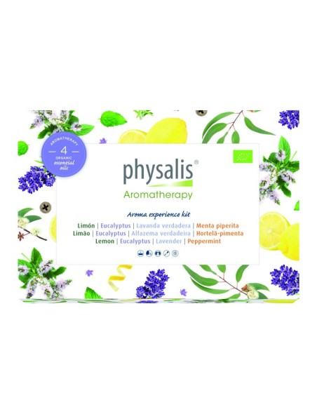 Galleta de Jengibre con Chocolate Belsi – Sabor Irresistible