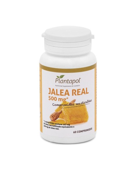 Ayurvedic Power Infusión de Physalis