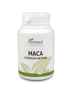 Cardio + Infusión de Physalis: Salud y Energía Natural